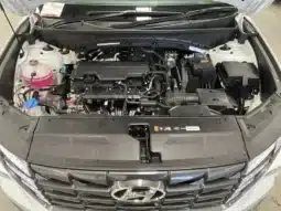 
										2024 Hyundai Tucson NX4.V2 MY24 (FWD) White 6 Speed Automatic Wagon full									