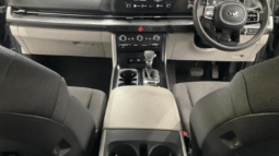 
										2021 Kia Carnival KA4 MY21 S Green 8 Speed Automatic Wagon full									