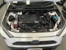 
										2024 Toyota RAV4 Axah52R GX (2WD) Hybr Full Size Spare White Continuous Variab full									