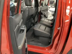 
										2023 Ford Ranger PY MY24 Wildtrak 2.0 (4×4) Orange 10 Speed Automatic Double C full									